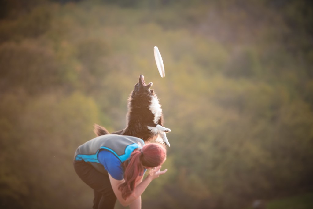 Fotografovanie psov - Tomáš Dančo - fine pet photo