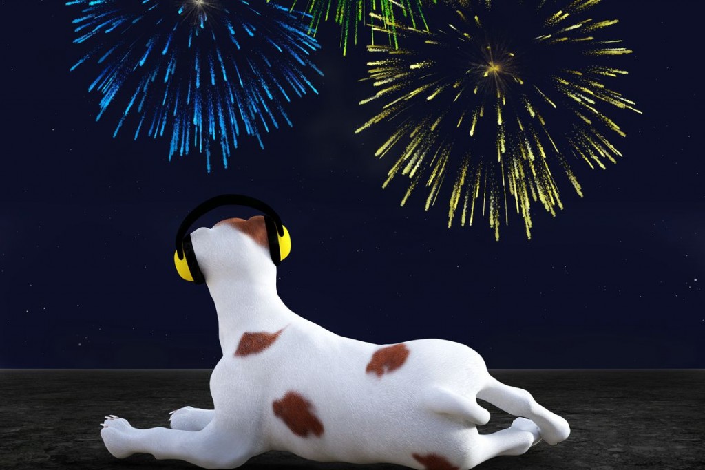 Ako zvládnuť Silvester so psom