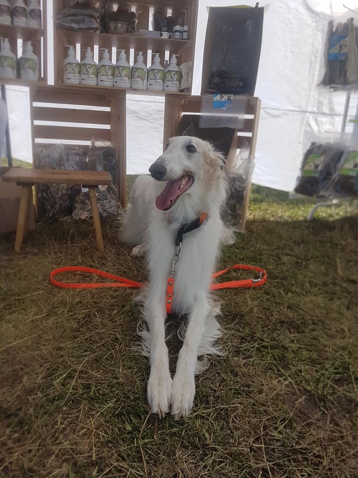 Coursing Holiday Wind Cup 2019 Ranč Bělečko 12-08-2019